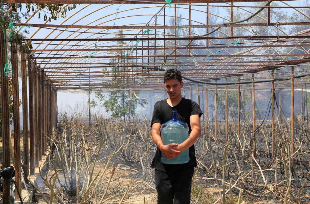 Antalya’daki yangınında seralar büyük zarar gördü