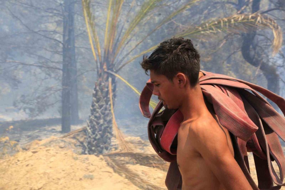 Antalya’daki yangınında seralar büyük zarar gördü