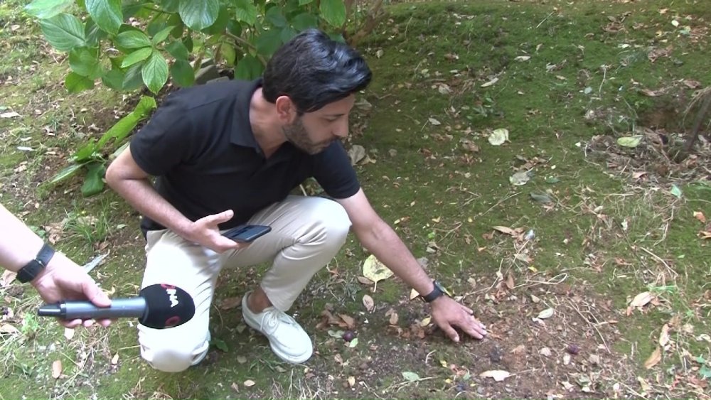 Başıboş köpeklere müdahale etmeyen belediyeye tepki