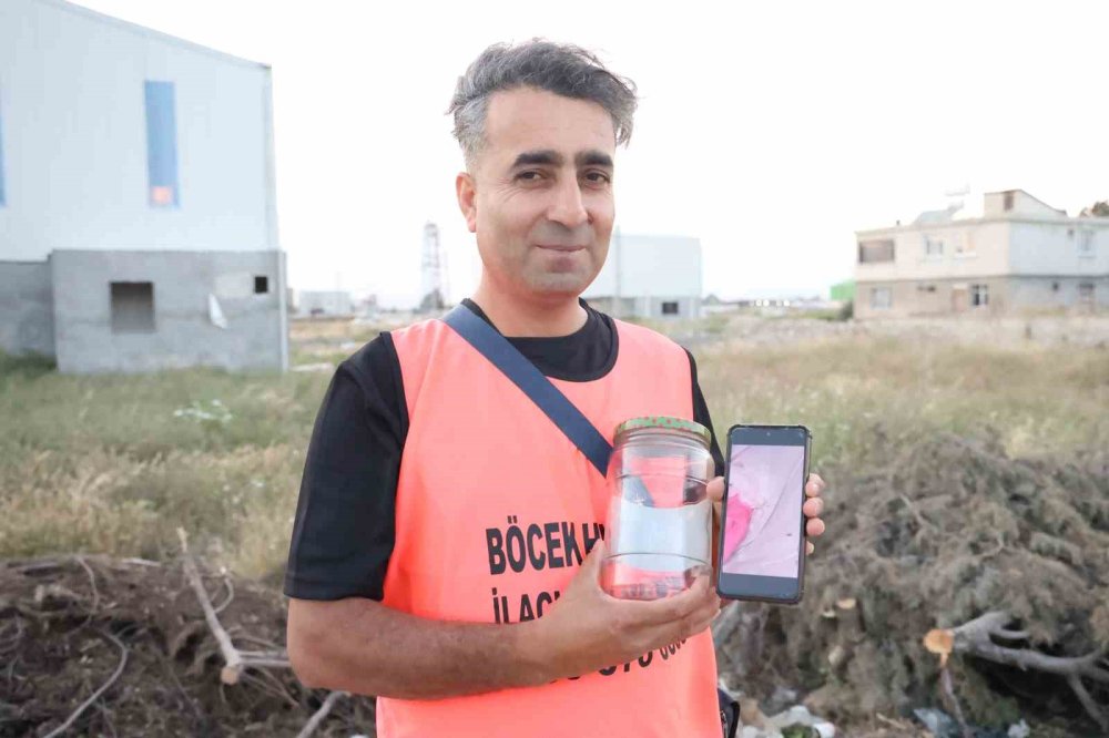 ’İnsan yüzlü örümceği’ kavanozda besliyor