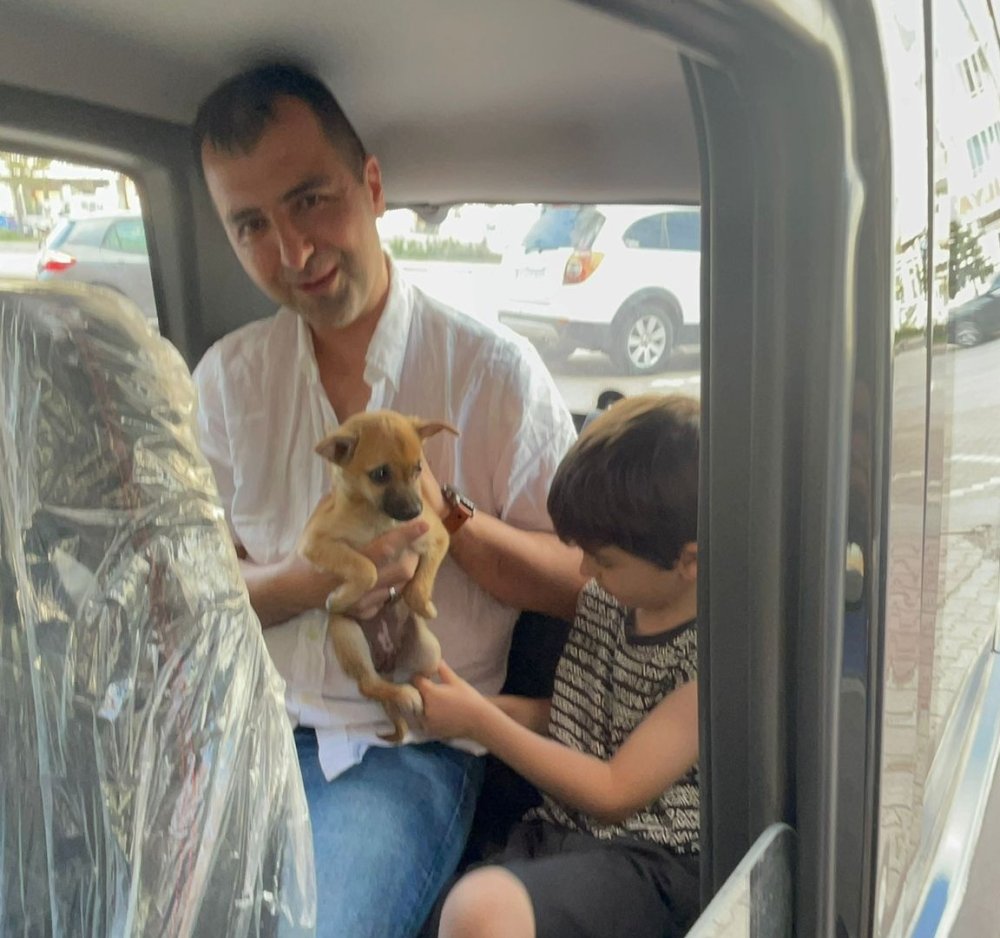 Konya’da yavru köpek için seferber oldular
