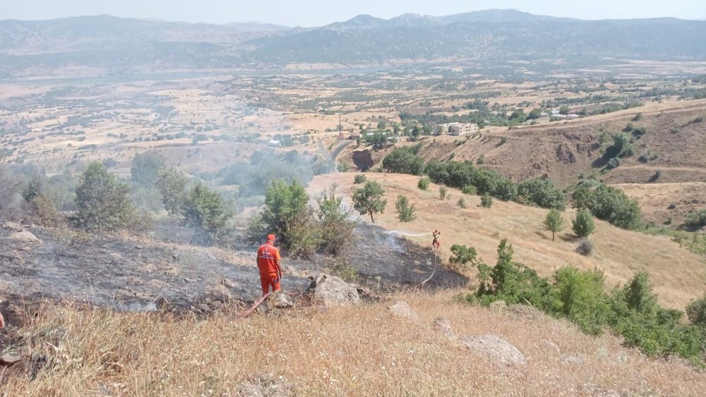 Bingöl'deki örtü yangını söndürüldü