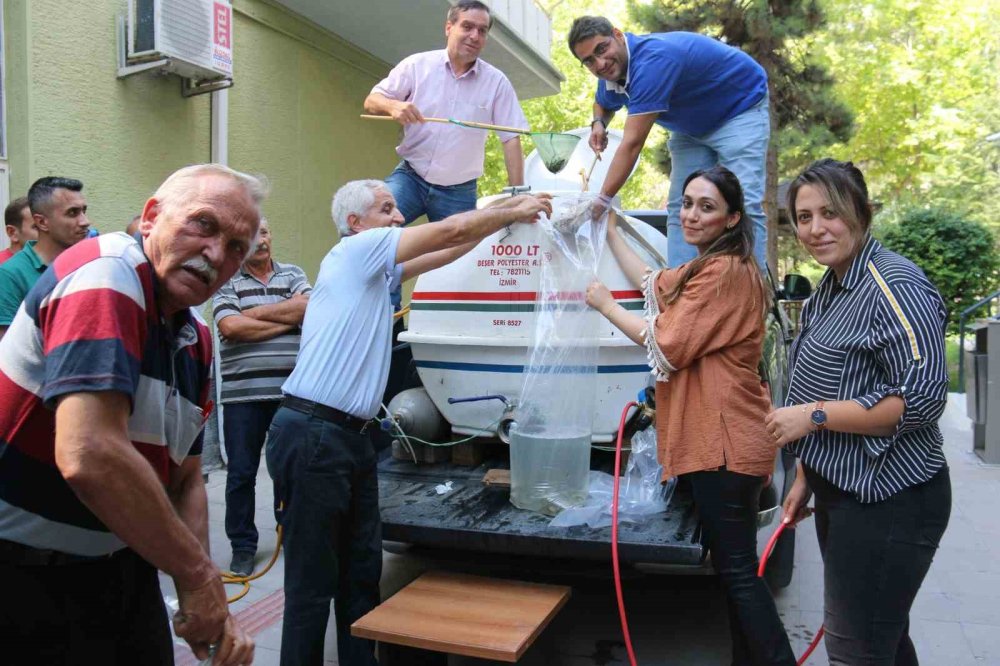 Konya’nın ilçelerindeki göl ve göletlere balık bırakıldı