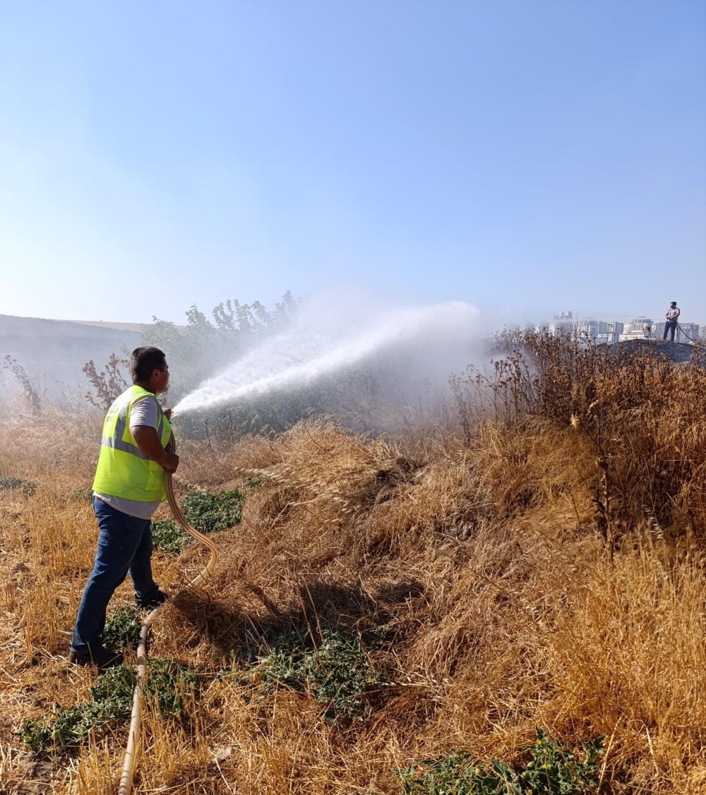 Tekirdağ'da çiftlikteki yangında 500 dönüm tarım arazisi zarar gördü