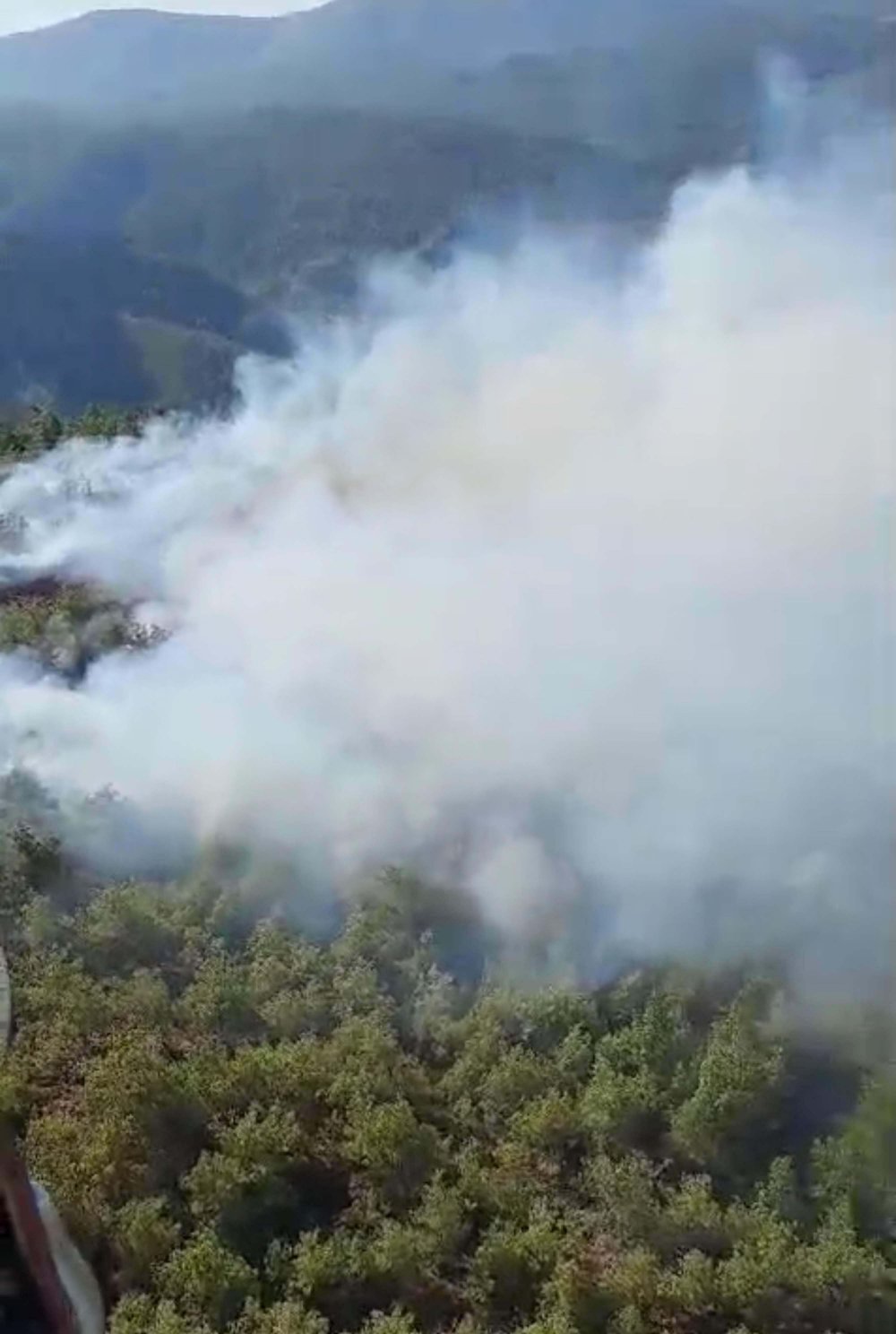 Muğla'da orman yangını