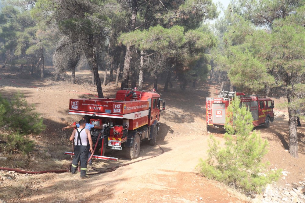 Gaziantep’te orman yangını