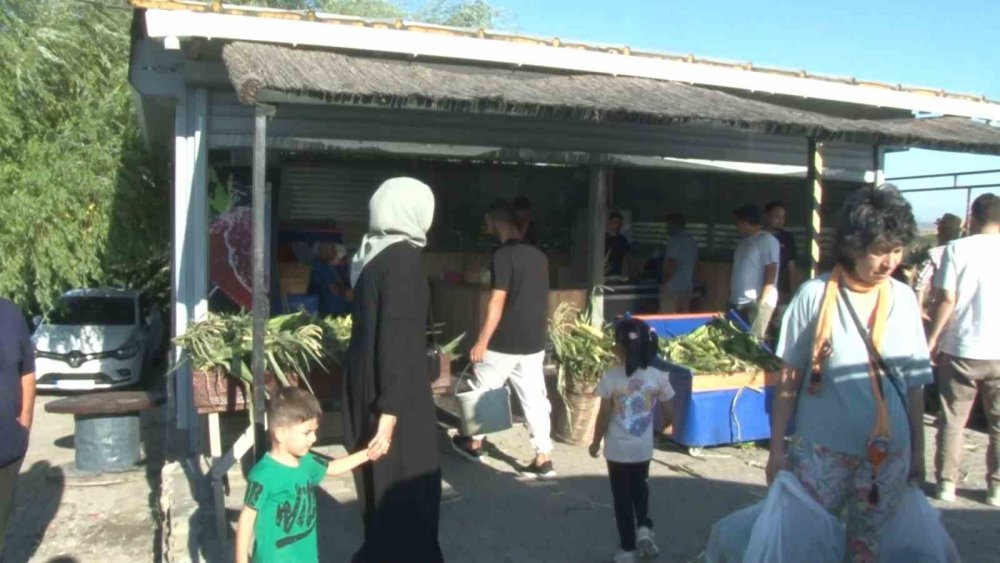 İstanbul bu tarlaya akın ediyor!