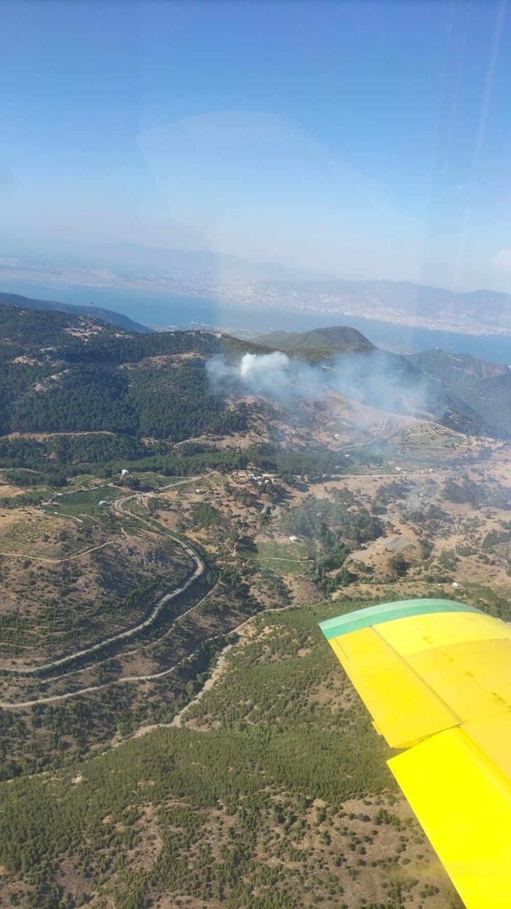 İzmir’de orman yangını