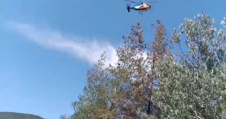 Gaziantep'teki orman yangını 1 saatte söndürüldü