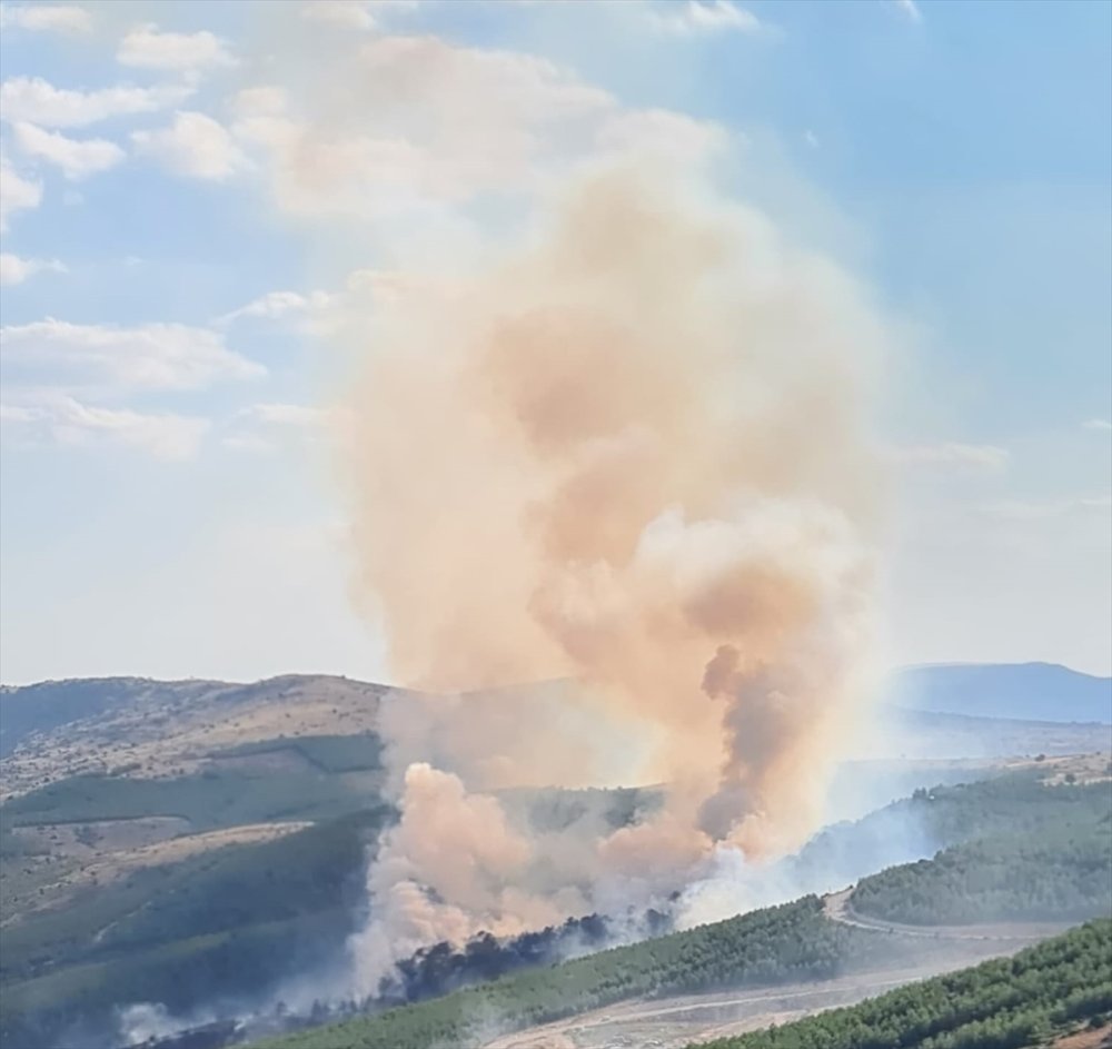 Denizli Çivril'de çıkan orman yangını kontrol altına alındı