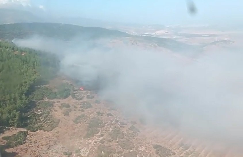 Hatay’da orman yangını