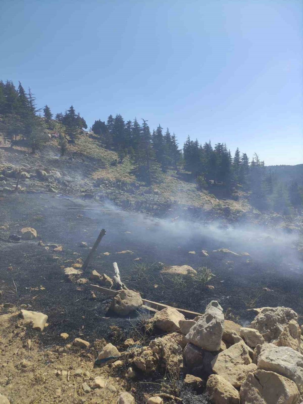 Kahramanmaraş’ta orman yangınları