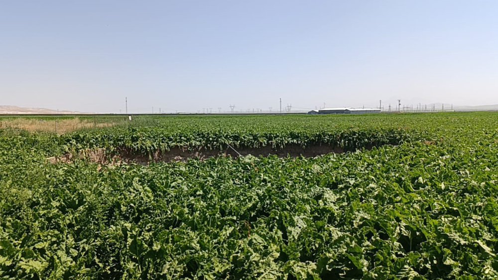 Konya'da aynı yerde ikinci kez oluştu! Korkudan uyuyamadılar