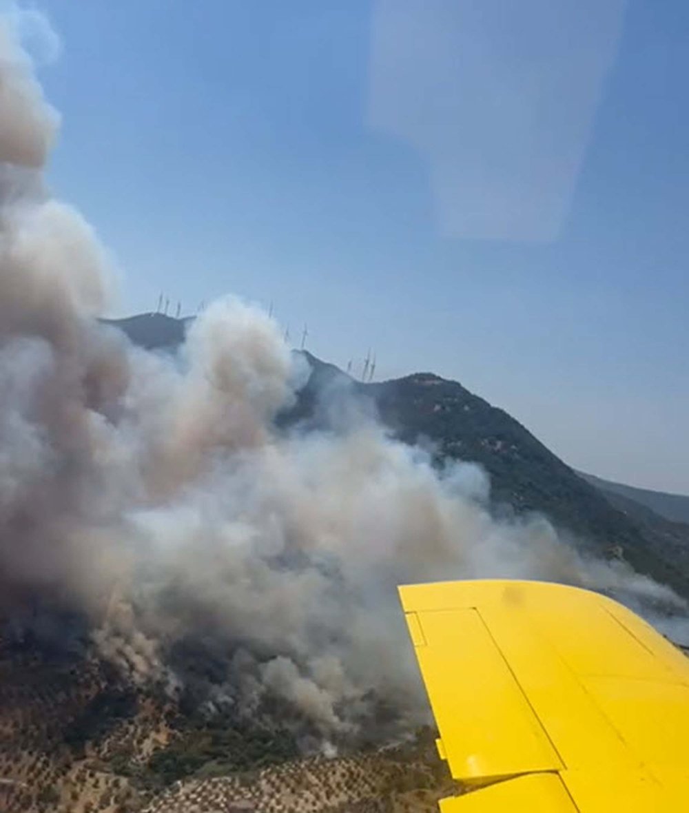 Aydın'da makilikte çıkan yangın, ormana sıçradı