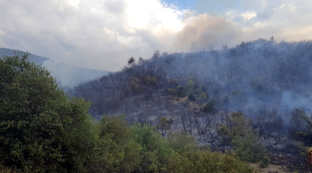 Tokat'ın Erbaa ilçesinde orman yangını