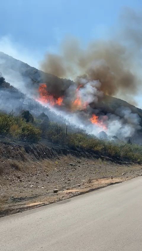 Yangın 8 hektarı küle çevirdi