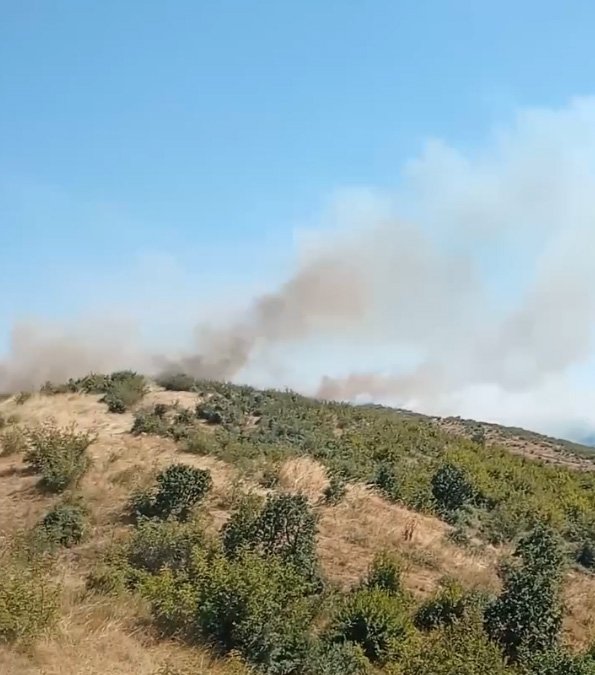 Edirne'de orman yangını