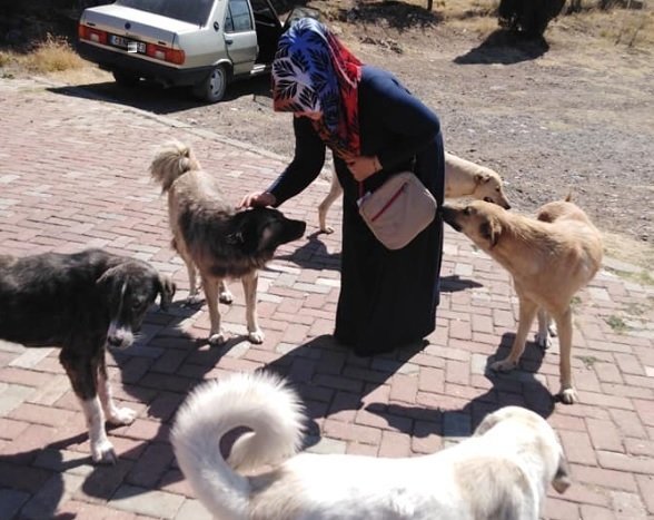 Sokak köpeklerine mama götürürken elektrikli bisikletine minibüsün çarpmasıyla öldü