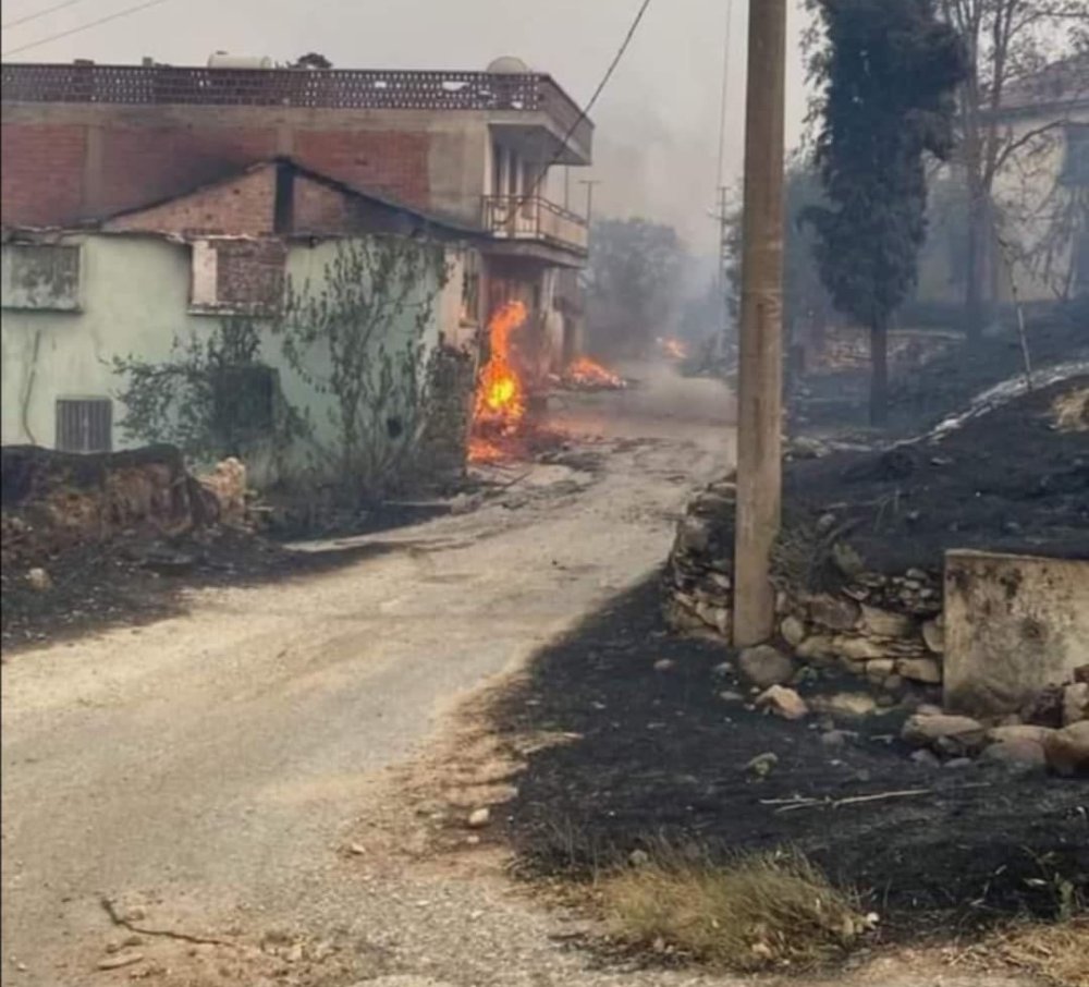 Hayvanları orman yangınında telef olan vatandaşın feryadı yürek dağladı