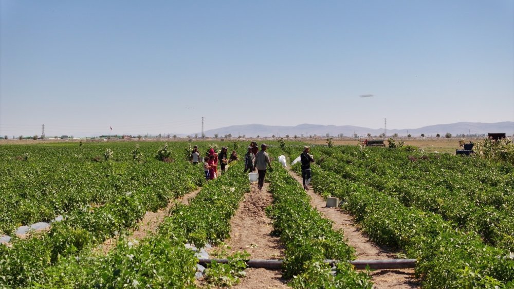 Karatay Belediyesi, ata yadigarına sahip çıkıyor