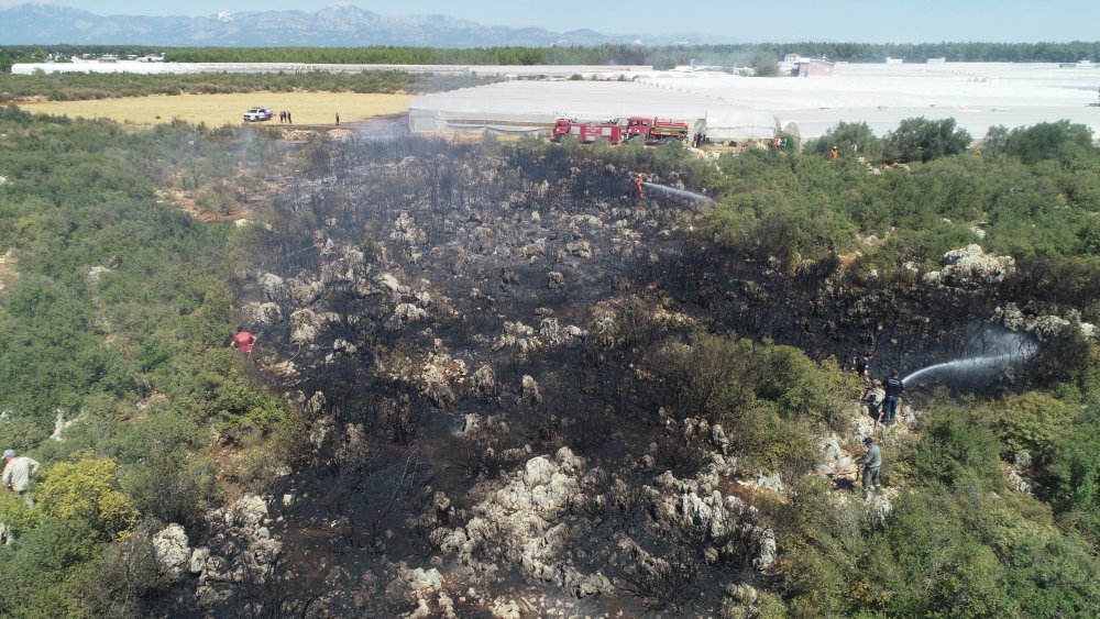 Antalya'da orman yangını 1 saatte kontrol altına alındı