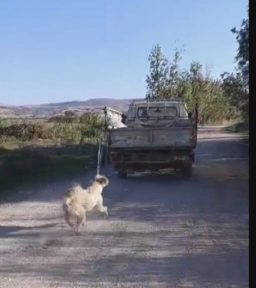 Köpeğini kamyonetin arkasına bağlayıp, sürükledi