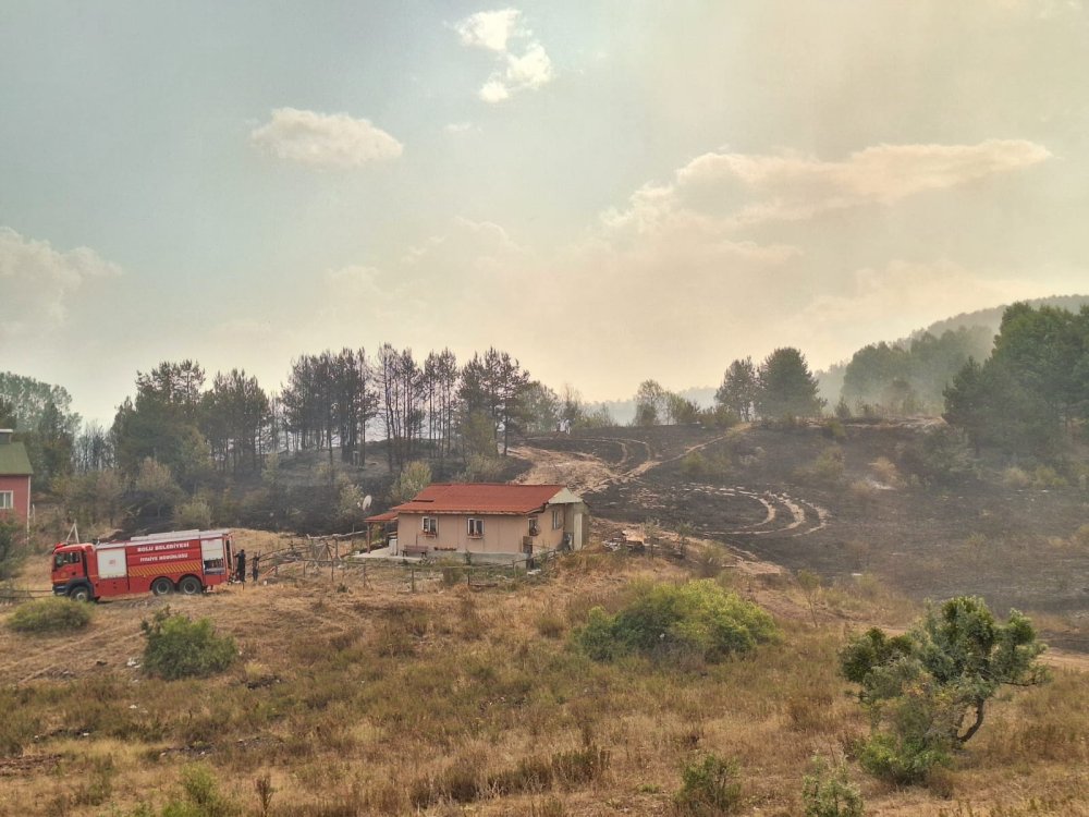 Ankara'daki yangın Bolu'ya sıçradı