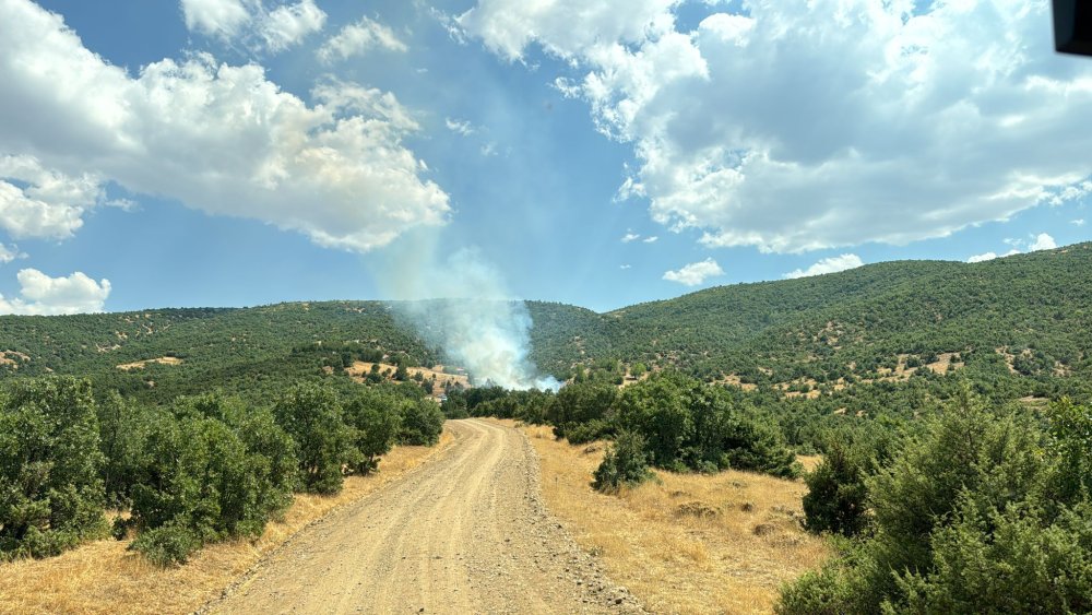 Bingöl'de orman yangını 2 saatte söndürüldü