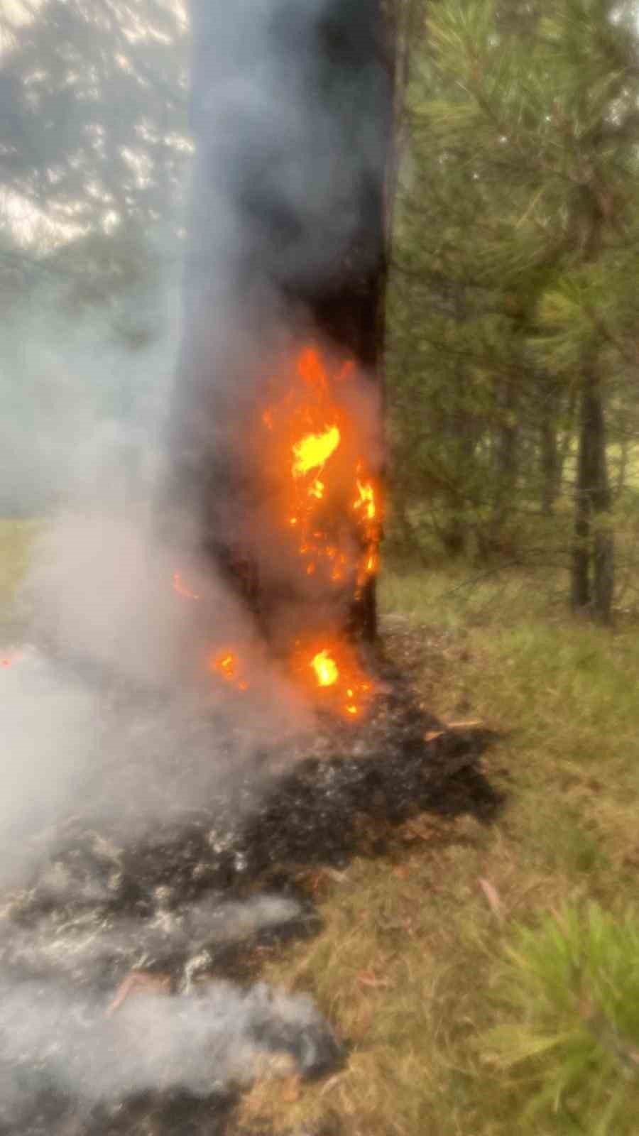 Yıldırımın düştüğü ormanlık alanda yangın çıktı
