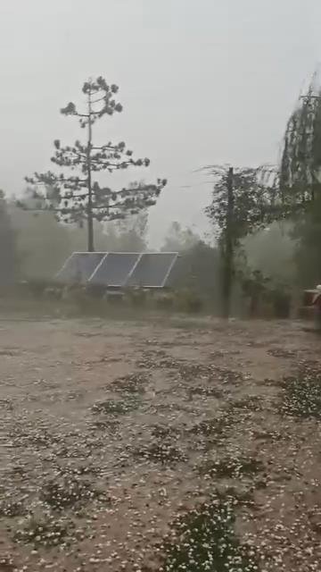 Bursa'da sağanak ve dolu; ekinler zarar gördü