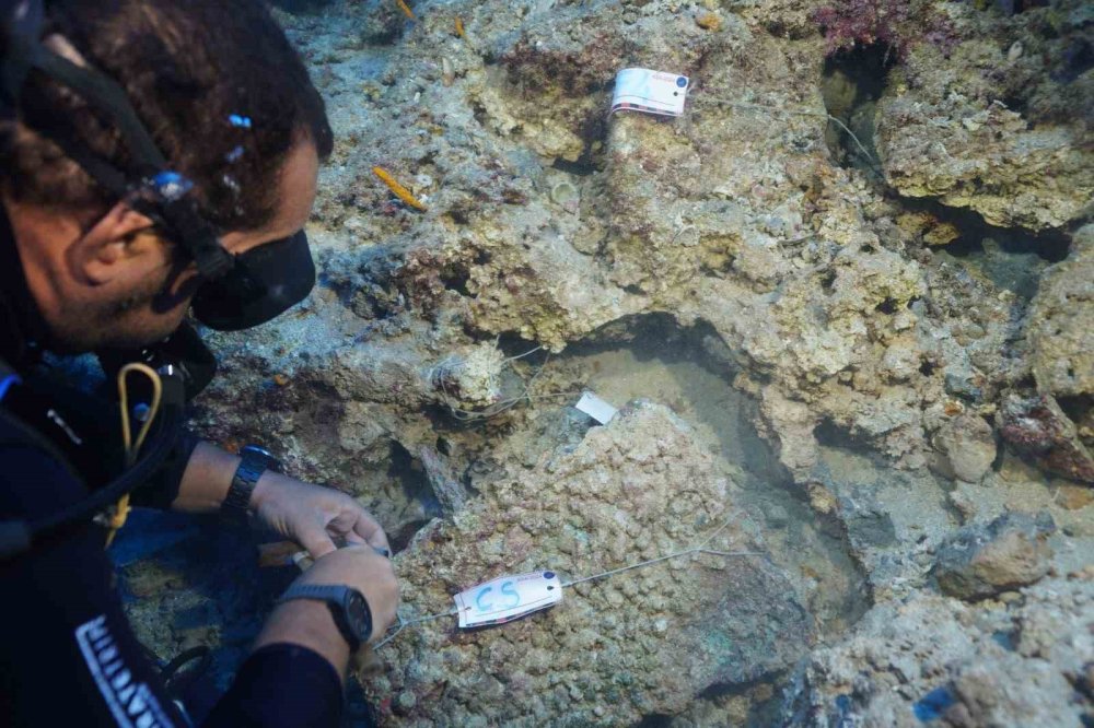 Akdeniz'in derinliklerinden 3 bin 600 yıllık sır gün ışığına kavuştu