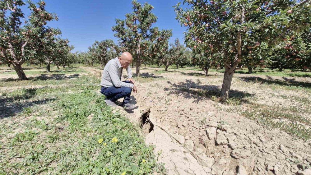 Elma bahçesinde oluşan 100 metrelik yarık korkuttu