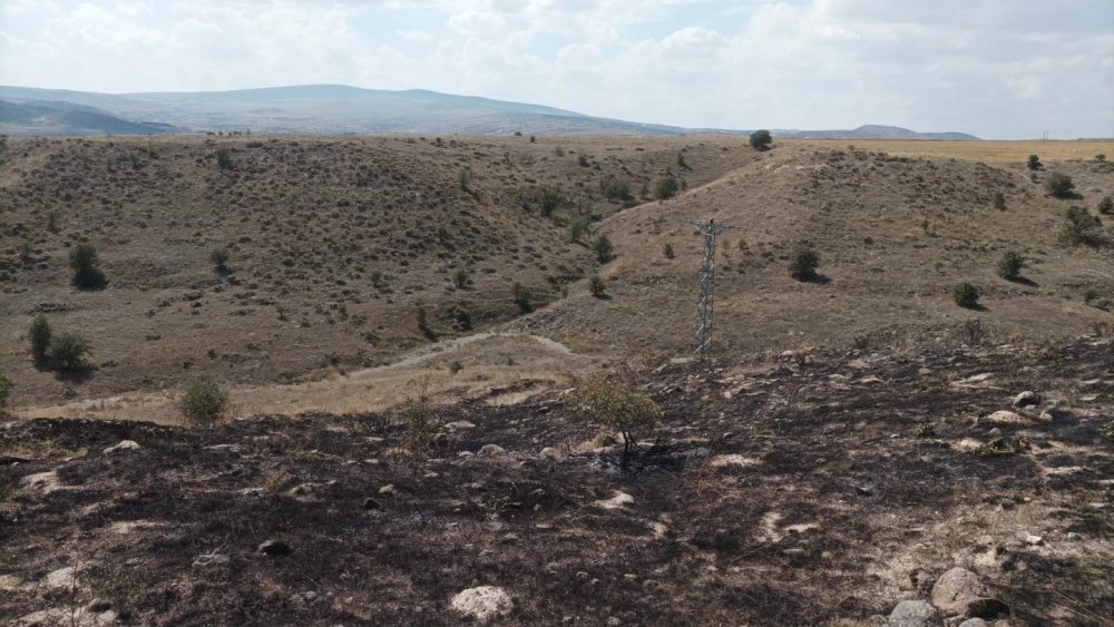 Elektrik trafosunda çıkan yangın araziye sıçradı