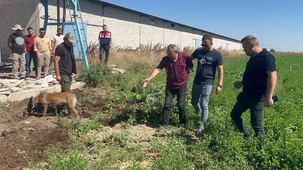 Konya'da dayısını öldürdü, oturup başında ağladı