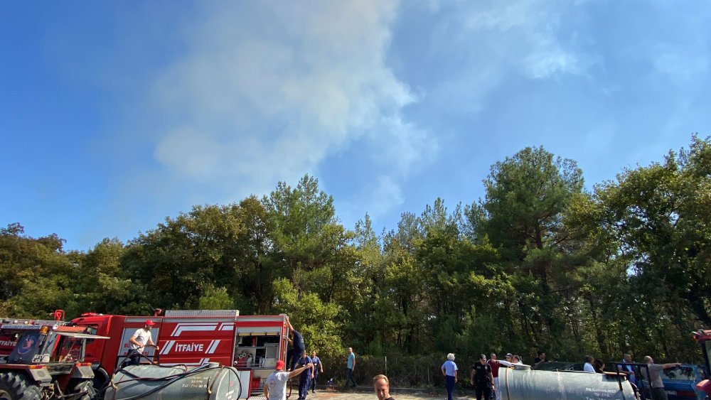 Samsun'da hastane yakınında orman yangını