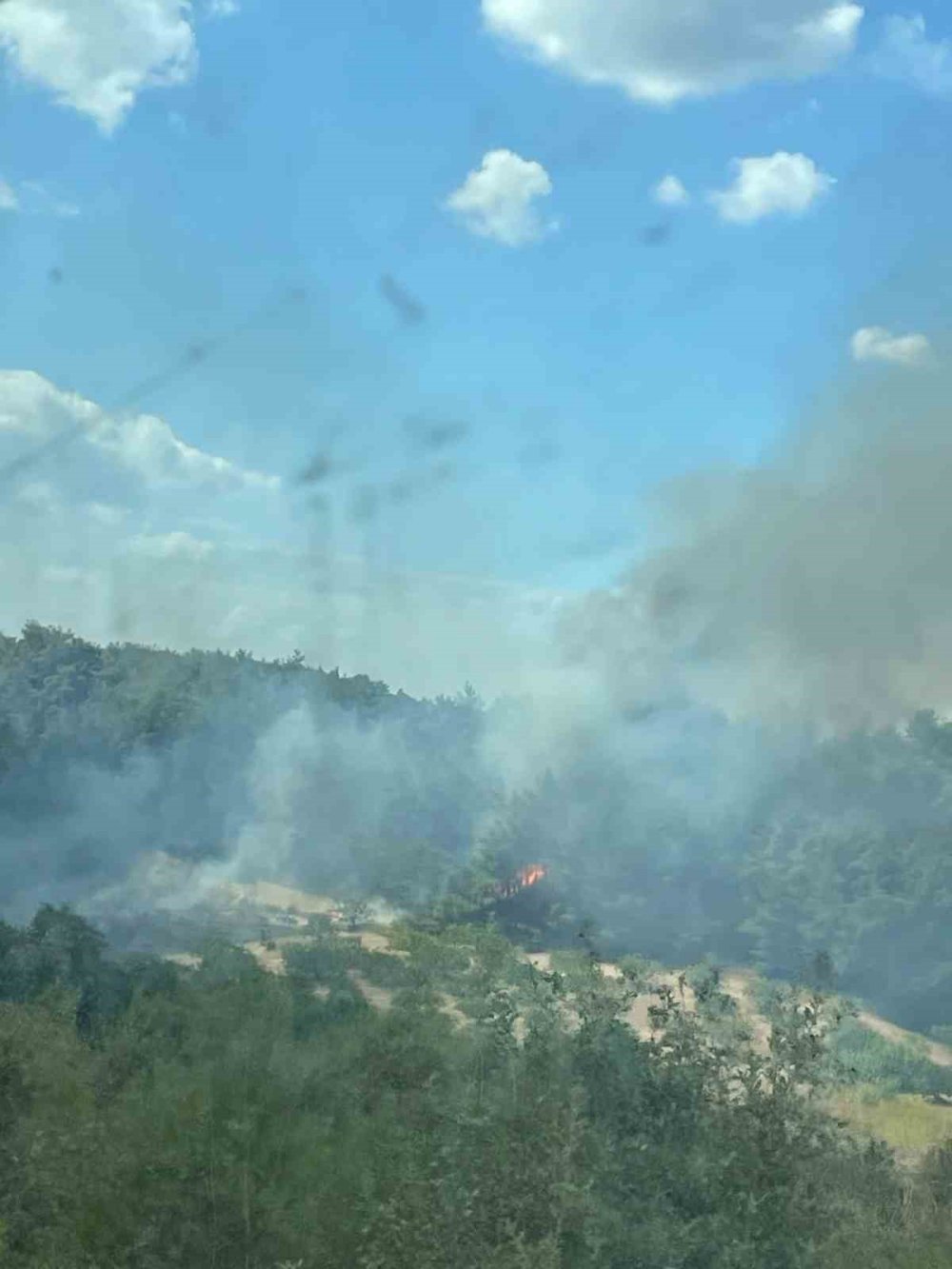 Bursa'da ormanlık alanda yangın