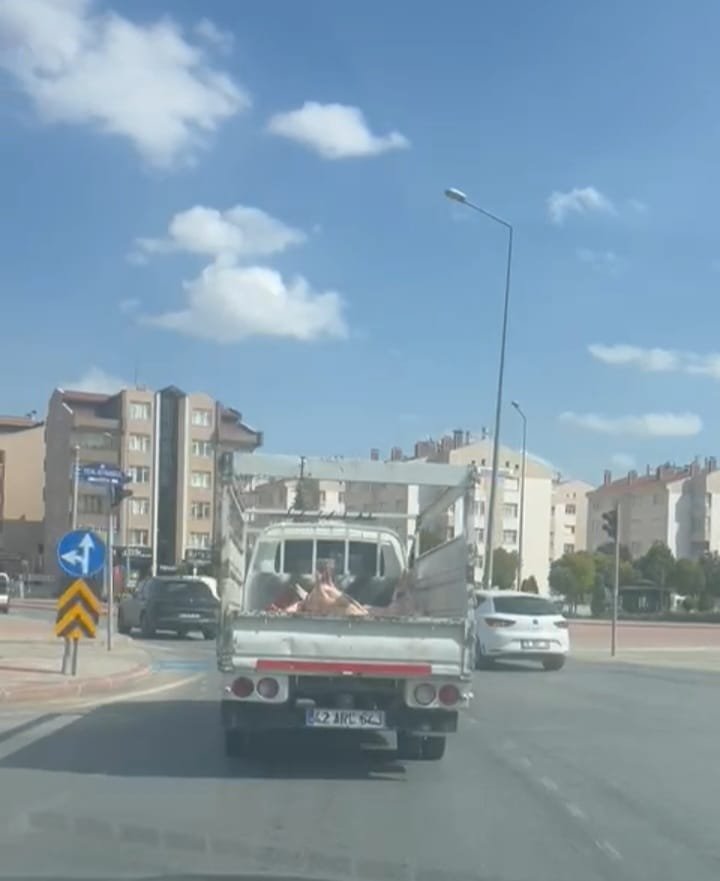 Konya'da şok eden görüntü!