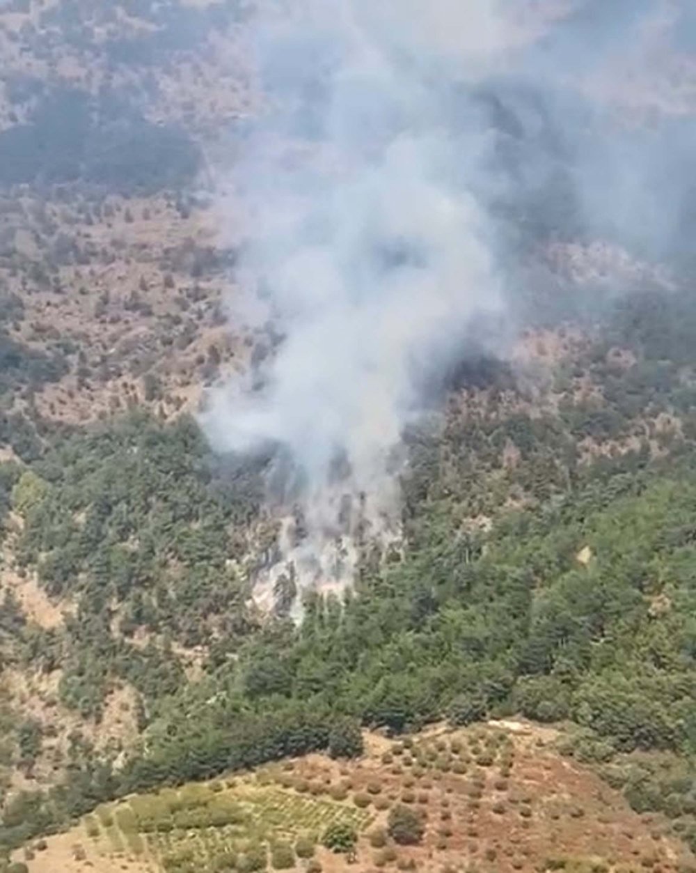 İzmir'de orman yangını! Alevlere havadan ve karadan müdahale sürüyorı