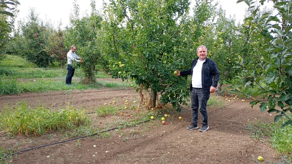 konyanin-elma-uretim-merkezi-olan-beysehir-ilcesinde-hasat-devam-ediyor-2.jpg