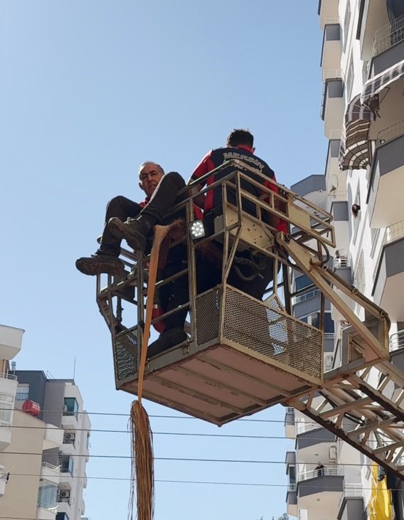 Budama yaptığı ağaçtan düşüp öldü