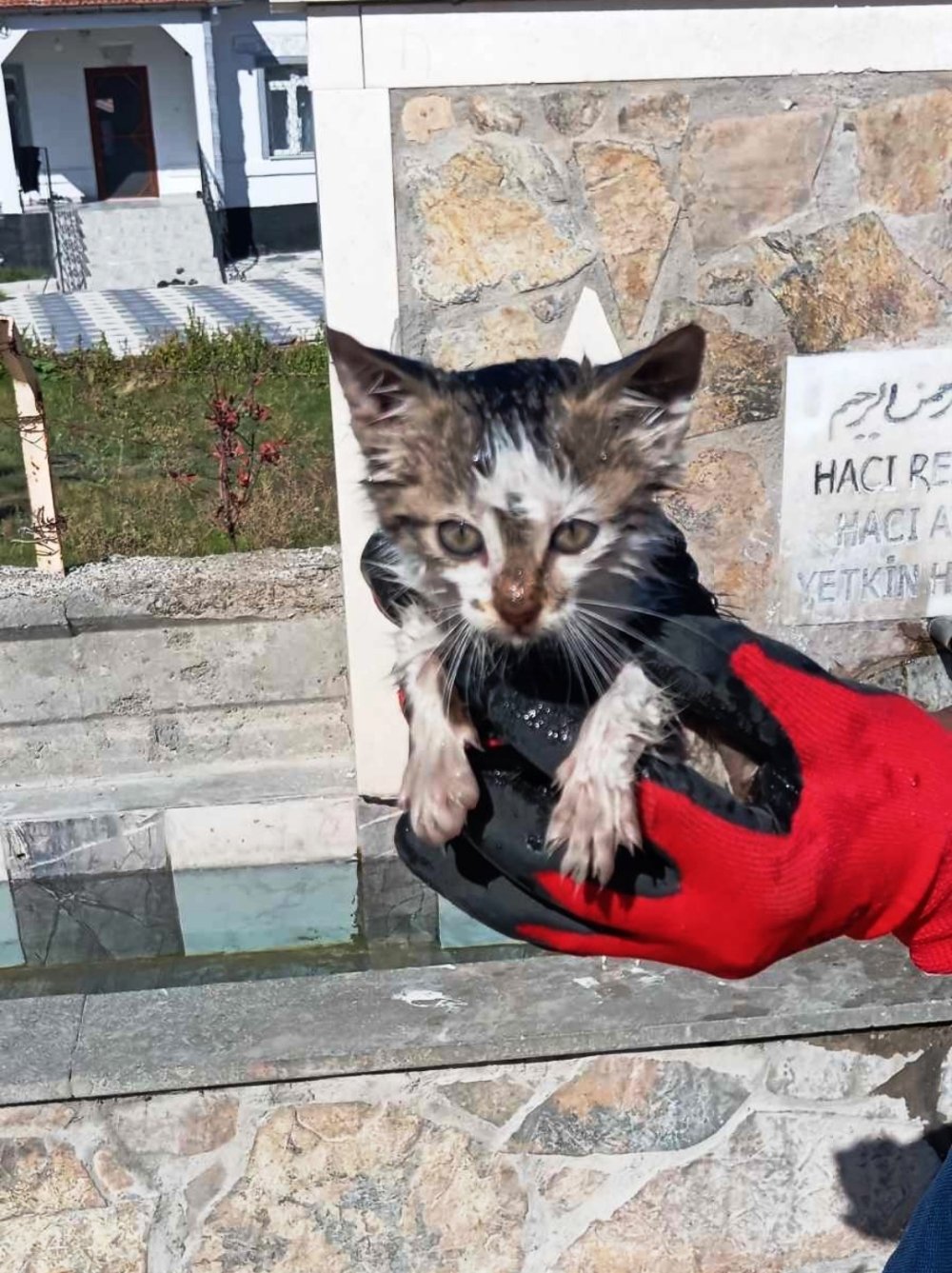 Konya’da ekipler uzun uğraşlar verdi ama kurtarıldı