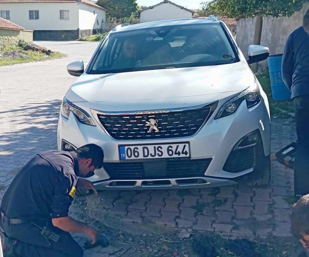 Konya’da ekipler uzun uğraşlar verdi ama kurtarıldı