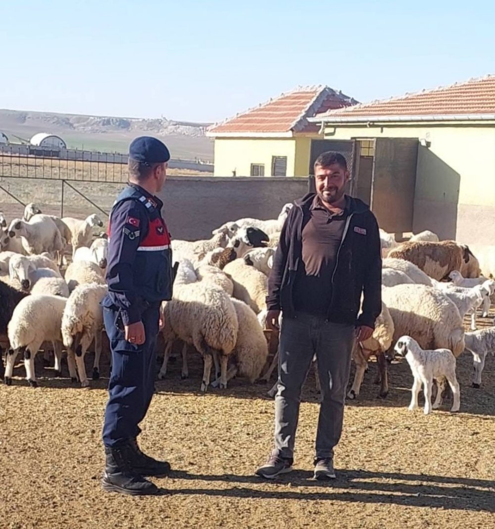 Konya'da kaybolan küçükbaş hayvanlar bakın nasıl bulundu