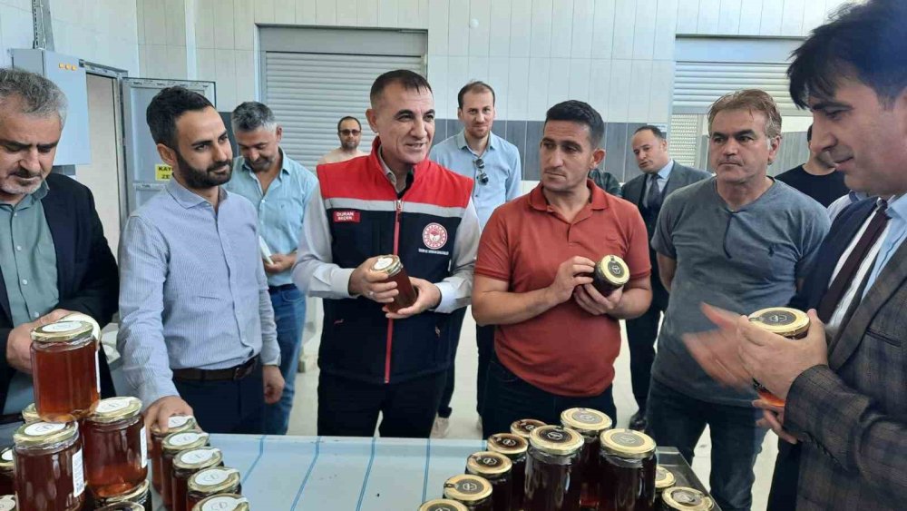 Konya Bozkır'da yeni hasat ballar paketlenmeye başladı