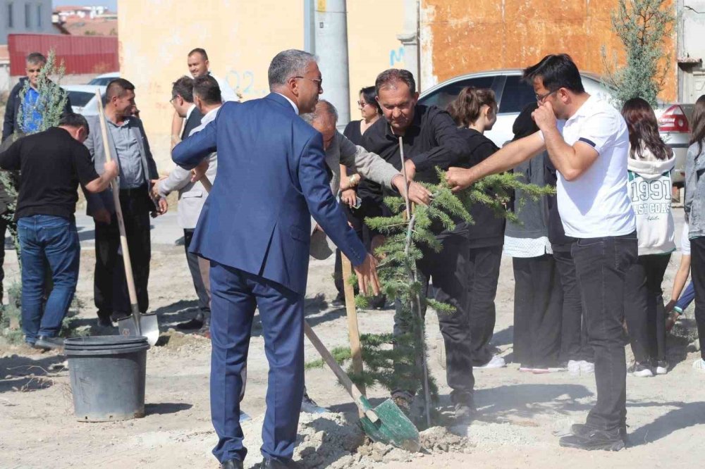 Konya Karapınar’da fidanlar toprakla buluştu