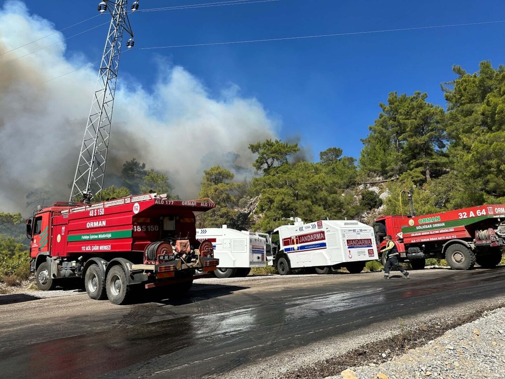 Muğla'nın 2 ilçesindeki orman yangınlarında son durum