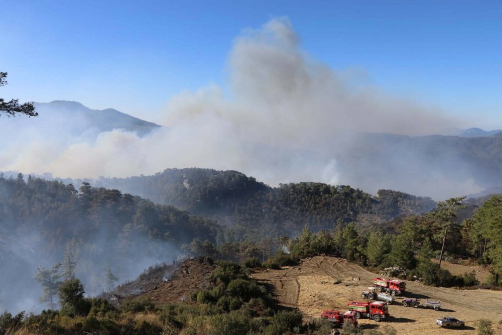 Muğla'nın 2 ilçesindeki orman yangınlarında son durum