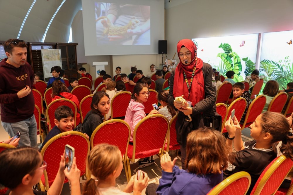 Çöllerde yaşayan sakallı ejder Konya'da