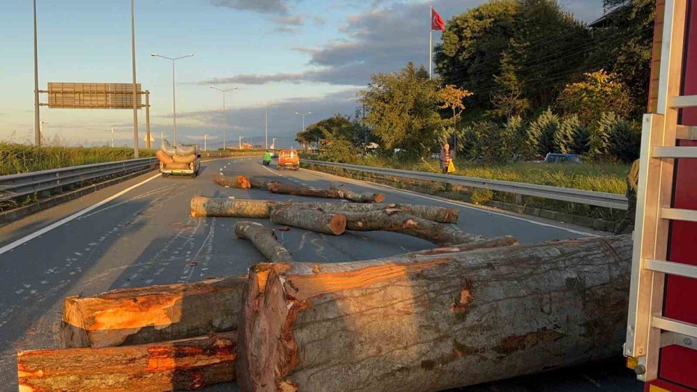 Rize’de tomruk yüklü kamyon ile kamyonet çarpıştı: 3 yaralı