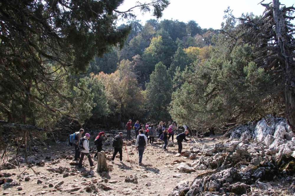 Beyşehir Gölündeki Hacıakif Adası doğa tutkunlarının ilgi odağı